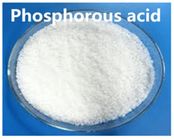 CAS keine Körnchen-Pulver ISO 9001 CHINA der phosphorigen Säure-13598 36 2 kristallene feste